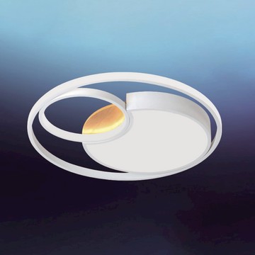 39-68W 遙控吸頂燈 B102-13-64228 64229