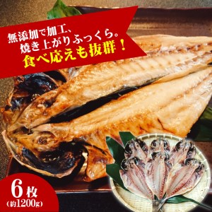 大きな真あじ干物　6枚(約1200g)