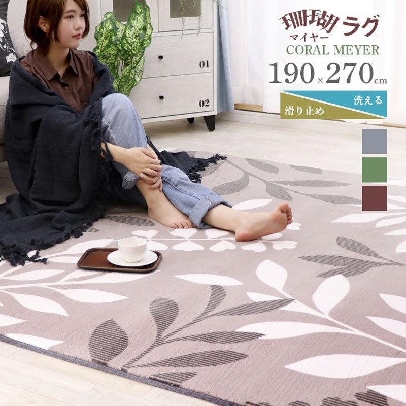 ラグ 洗える 滑り止め付き カーペット ラグマット 厚手 春 夏 190×270 3畳 3帖 ウォッシャブル リビング おしゃれ シンプル ナチュラル  フリーリー | LINEショッピング