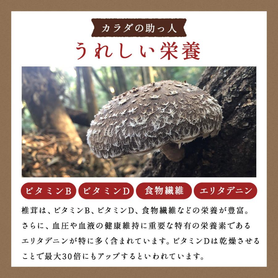 乾燥椎茸 110g 国産 自然栽培 割れ欠け 規格外の助っ人 送料無料 干し 訳あり  国産 大分 ほししいたけ