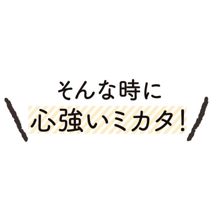 生姜 しょうが 選べる生姜パウダー 鹿児島県産100% 黒蒸し生姜 ウルトラ蒸し生姜 ウルトラ生姜