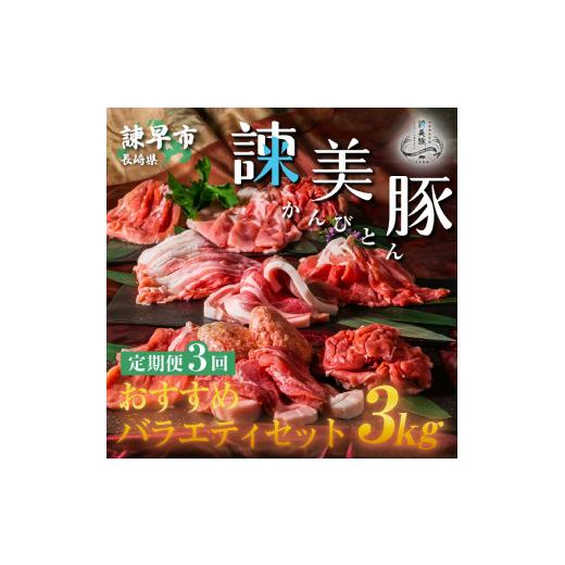 ふるさと納税 長崎県 諫早市 『定期便』_諫美豚(かんびとん)おすすめバラエティセット3kg_全3回