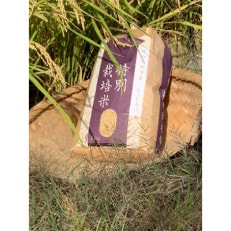 特別栽培米　古都奈良のこだわり米　ヒノヒカリ　玄米10kg