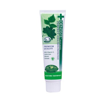 【DENTISTE 牙醫選】夜用牙膏 100g