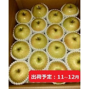 ふるさと納税 11月〜12月発送 ふみ丸ファーム  最高等級「特選」完熟王林 約5kg  青森県弘前市