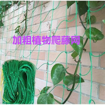 加粗植物爬藤網庭院百香果網爬藤植物攀爬網家用園藝網好質量