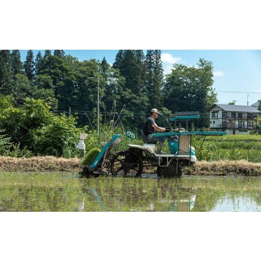 ふるさと納税 福島県 西会津町 《定期便7ヶ月》減農薬・有機肥料栽培 西会津産米コシヒカリ 玄米 5kg 米 お米 おこめ ご飯 ごはん 福島県 西会津町 F4D-0392