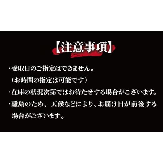 ふるさと納税 長崎県 新上五島町 手延五島うどん 地獄炊き ふし麺 セット [RAM010]