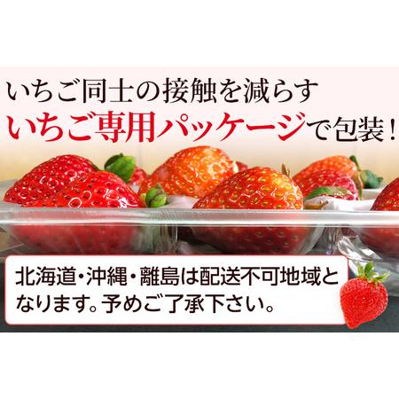 ふるさと納税 農家直送 朝採り新鮮いちご [(約270g)×2パック]＜2023年12月以降順次出荷予定＞ 福岡県田川市