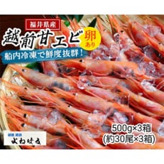 大好評!越前甘エビ　1.5kg(1箱約30尾入りを3箱お届けします)