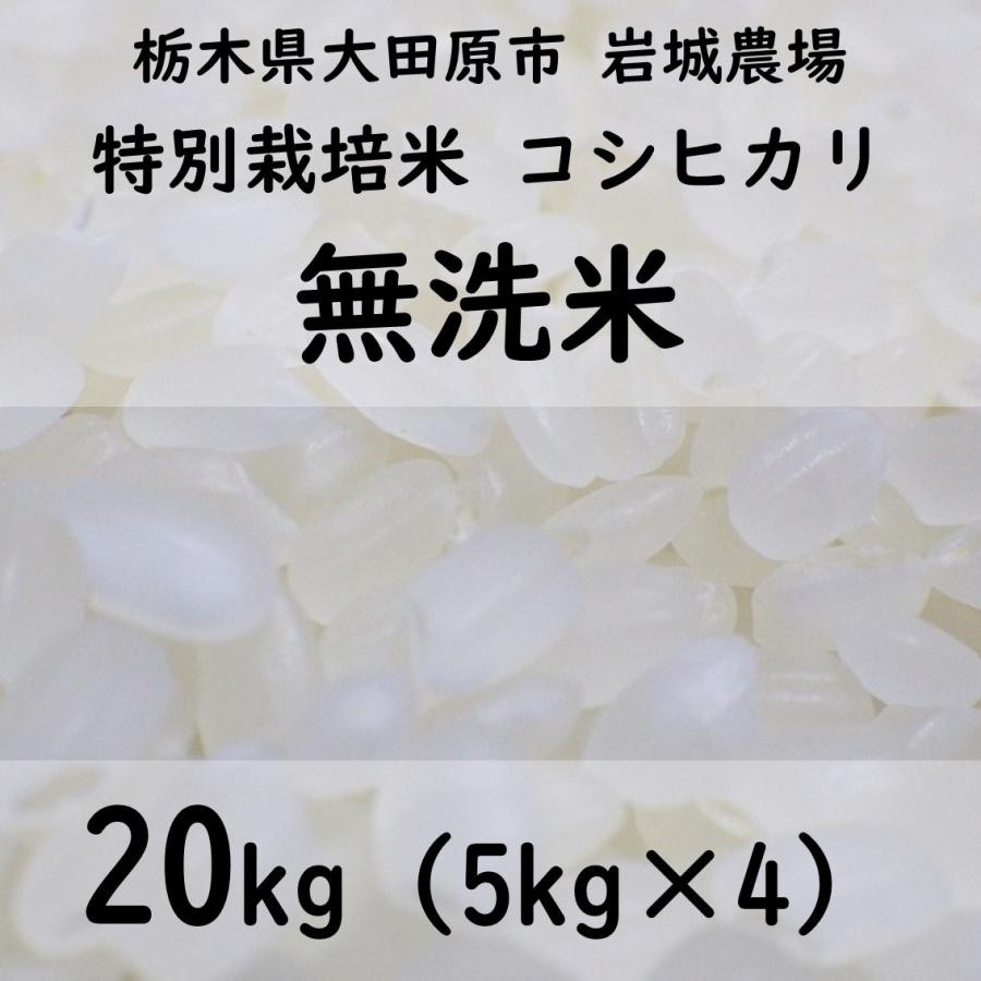 特別栽培米コシヒカリ 2023年産（5kg×4）