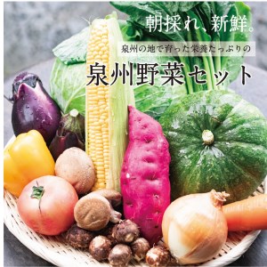 季節の泉州野菜セット 12種