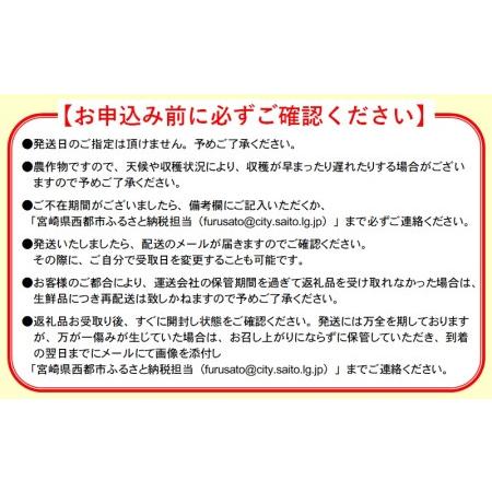 ふるさと納税 安藤さんちのエリザベスメロン約4kg＜1.2-38＞ 宮崎県西都市