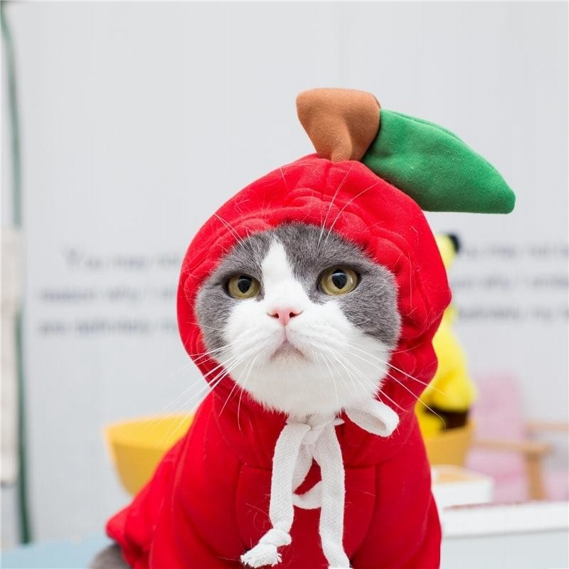 Rakuten Cute Cat Easter Day Bunny Eggs Costume パーカー