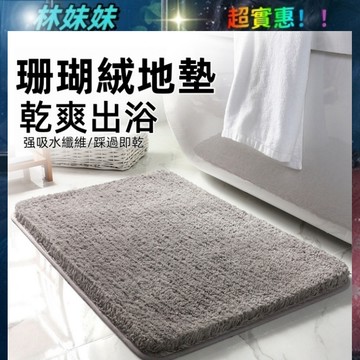 珊瑚絨地墊✨浴室地墊 防滑腳踏墊 吸水地墊 門口地墊 廚房浴室腳墊 吸水墊 腳踏墊 厨房地墊 陽台地墊 台灣出貨