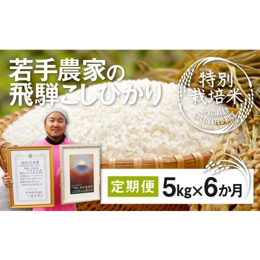 ふるさと納税 岐阜県 飛騨市 《先行予約》令和5年産 米 定期便 こしひかり 特別栽培米 5kg×6か月 合計30kg 若手受賞農家 池本農園 こだわりのお米