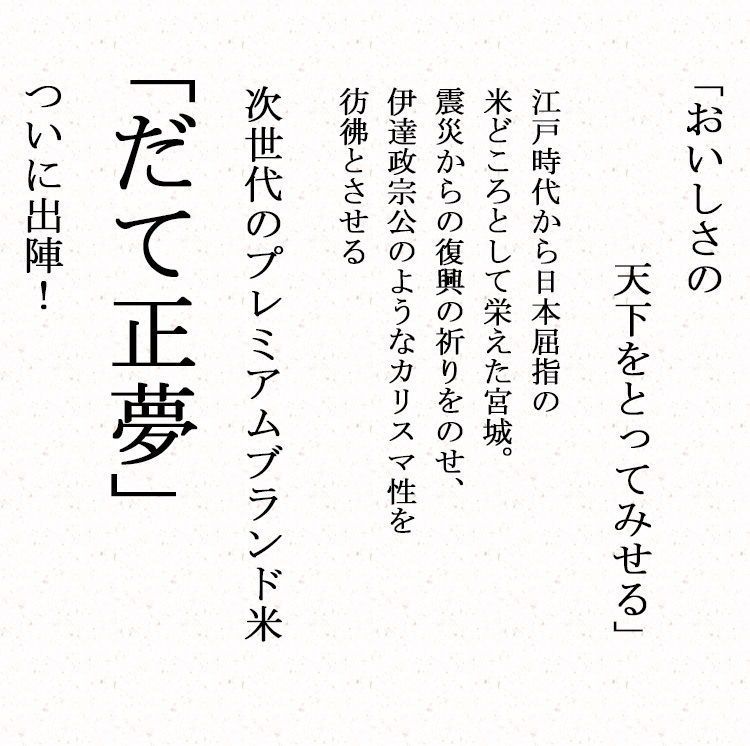 新米 米 白米 2kg だて正夢 宮城県産 令和5年産 1等米 だて正夢 お米 2キロ 安い あす楽