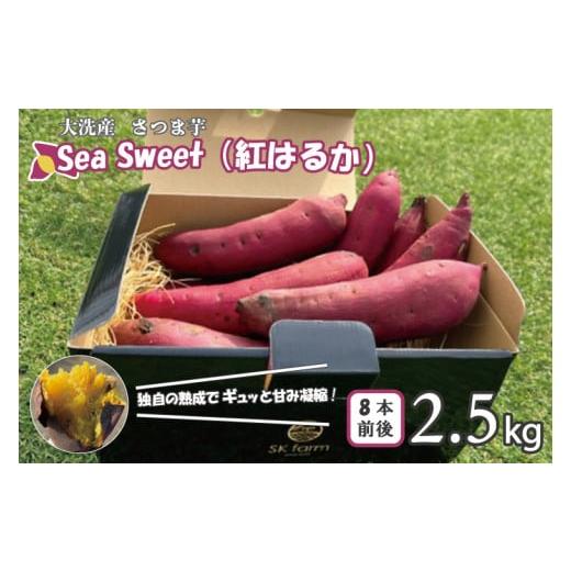 ふるさと納税 茨城県 大洗町 大洗産 さつまいも 紅はるか 2.5kg （8本前後） 「Sea Sweet」 長期熟成 茨城県産 サツマイモ 土付き 生芋 芋 さつま芋 薩摩芋 甘…