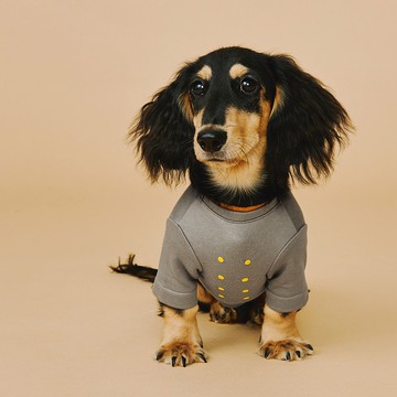 #解放乳頭  Free the Nipple / 貓狗可穿上衣 - 灰色