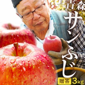 2023年産 青森県産りんご 贈答用 サンふじ 3kg （約9玉～11玉前後）産地直送 工藤農園 お歳暮 ギフト 内のし付き