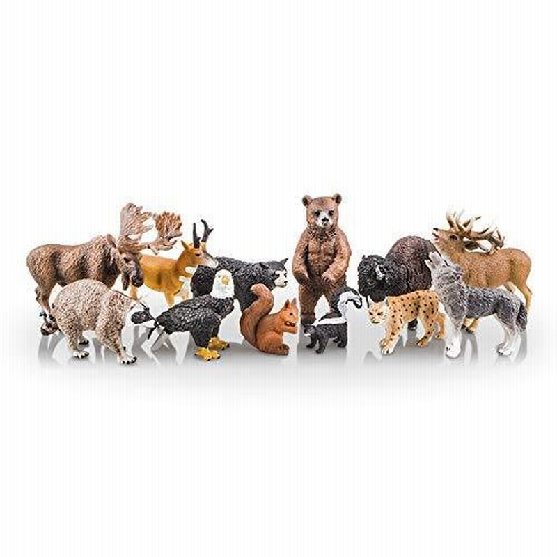 Toymany 12pcs 北アメリカ 森の動物フィギュア 野生動物フィギュアセット リアルな動物模型 動物おもちゃモデル 子供おもちゃ 並行輸入 通販 Lineポイント最大0 5 Get Lineショッピング