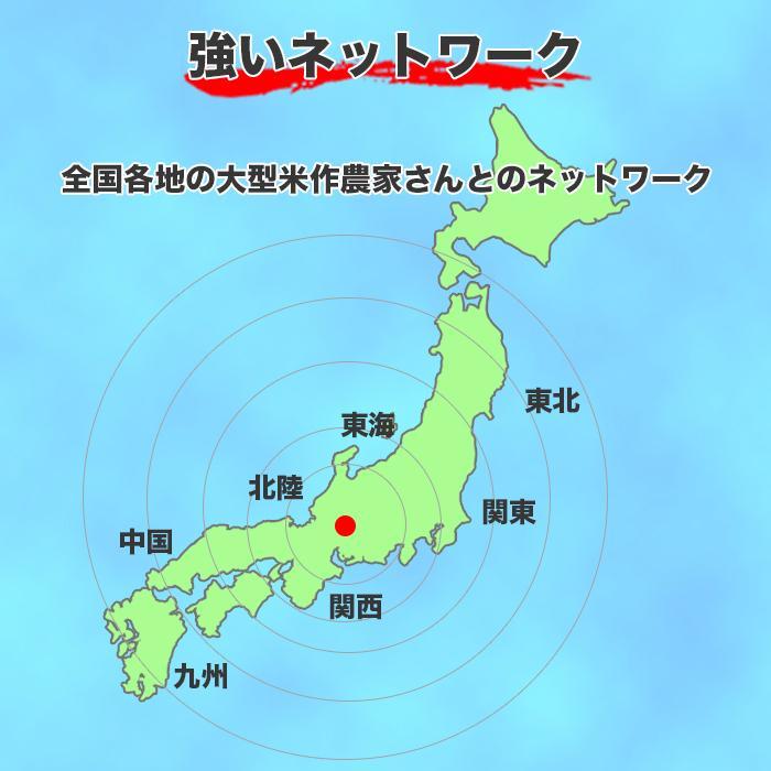 米 お米 米 白米 精米 日本のお米 ブレンド米 国内産 10kg ブレンド 10キロ 送料無料 即日発送 当日発送