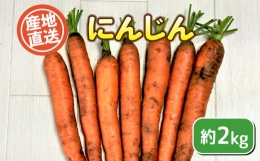 数量限定 にんじん 約 2kg 人参 ニンジン 野菜 ジュース 産地直送 期間限定 2023年6月中旬以降 順次発送 下関 山口