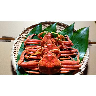 ふるさと納税 美浜町 食べ切数量!全て地物!冬の味覚　旬のセイコガニ(3匹計330g前後)食べ方説明書付