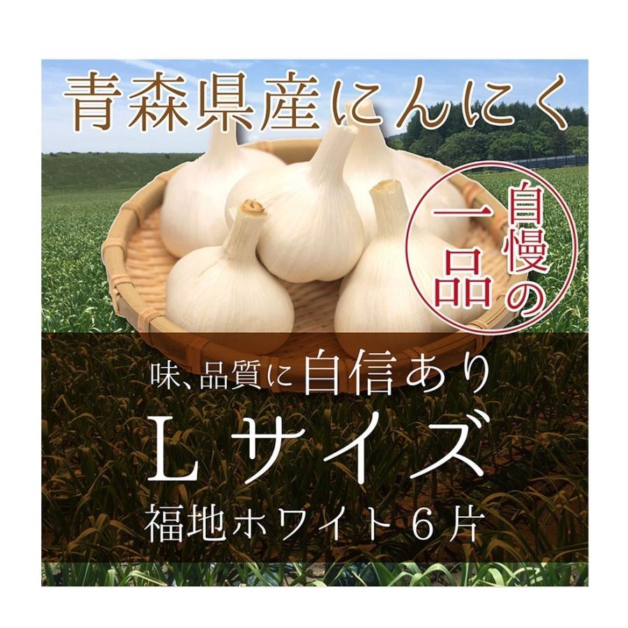 青森産 にんにく 1kg×10入 送料無料 送料発生