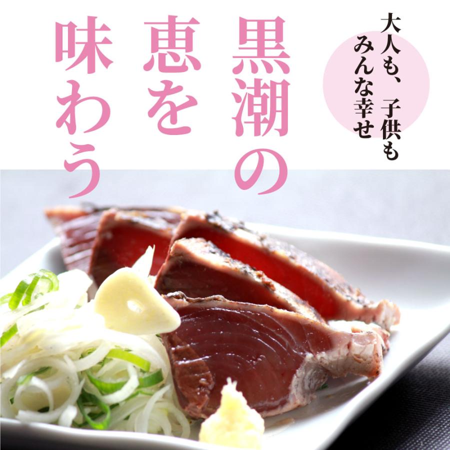 鰹のたたき 高知 2節 約500g 3〜4人前 取り寄せ 藁焼き 冷凍 カツオのたたき かつおのたたき わら焼き お歳暮 2023 ギフト