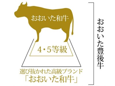 D-05A 「おおいた和牛」モモ・ロースすき焼き用×2セット