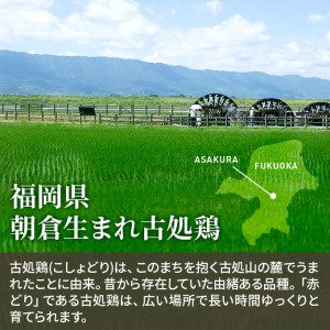 水炊きセット 鶏飼う人 古処鶏 こしょどり ギフトセット 天野商店 配送不可 離島