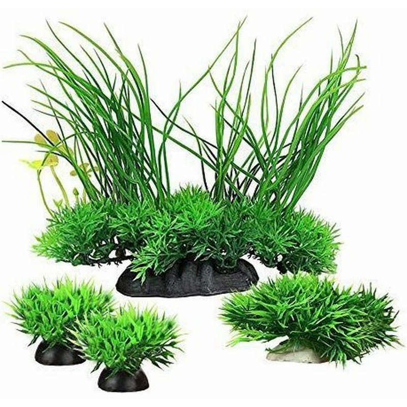 水槽用 人工水草 16cm 中型水草セット レイアウト 水槽 オーナメント 水槽内装 アクアリウム 水槽 飾り 観賞魚 熱帯魚 金魚 爬虫類 通販 Lineポイント最大0 5 Get Lineショッピング