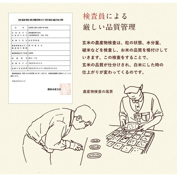 新米　5年産　佐賀県白米20kg(5kg×4袋) お米 米 佐賀県産 