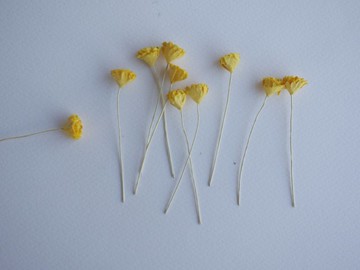 紙花，DIY 100 朵滿天星，100 朵，尺寸 1 公分，黃色