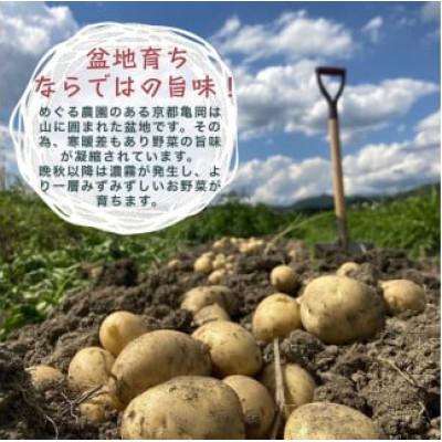 ふるさと納税 亀岡市 旬の味!お野菜詰め合わせBOX8〜10品(栽培期間中 農薬・化学肥料不使用)