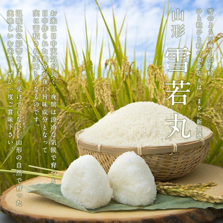 令和5年産 山形県産 雪若丸 玄米20kg