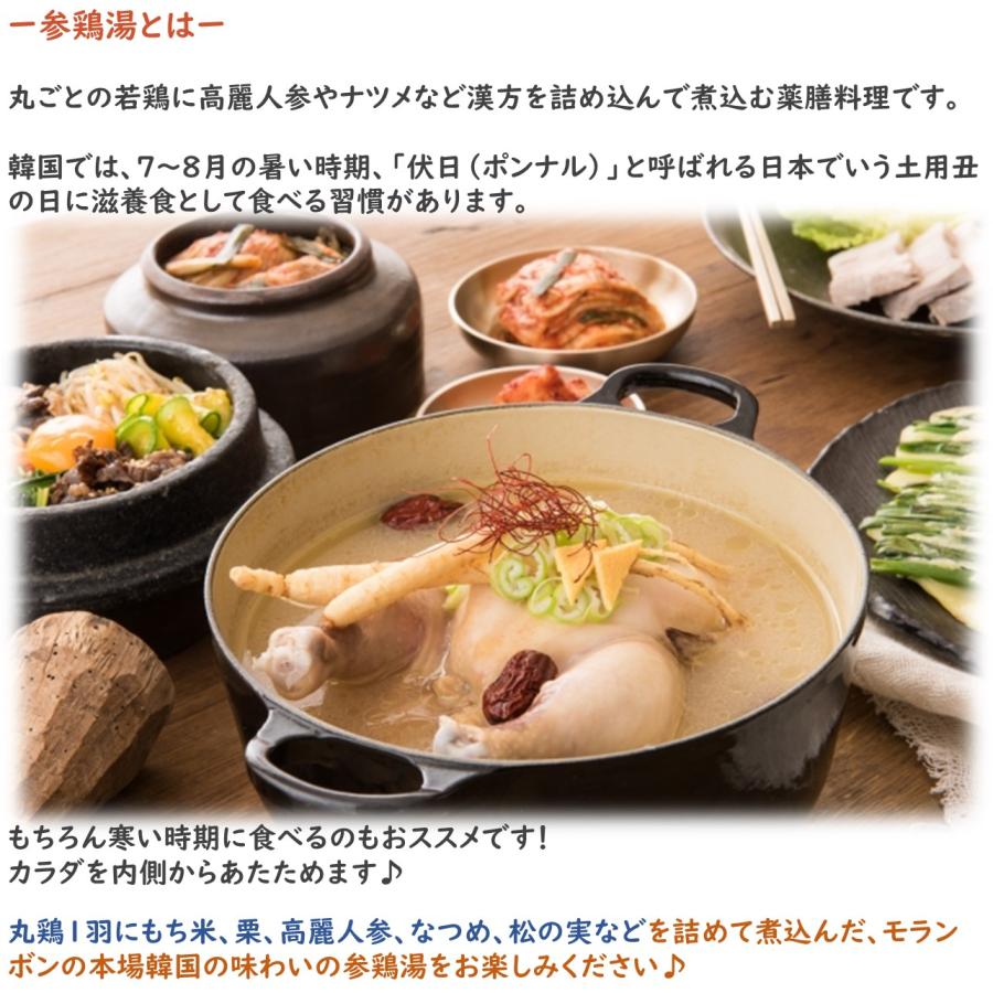 モランボン　本場韓国製造　参鶏湯（サムゲタン）　２〜３人前　３袋セット　簡単便利　長期常温保存　薬膳料理　滋養食　あったかメニュー