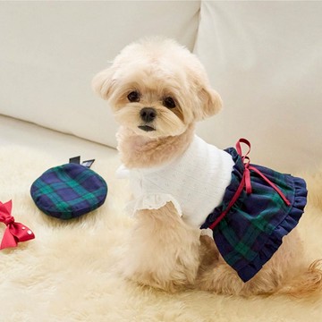 寵物服飾-學院風-Blair One-學院素Ｔ連衣裙-綠 韓國it’s 寵物衣服  狗狗衣服 小型犬服飾狗洋裝