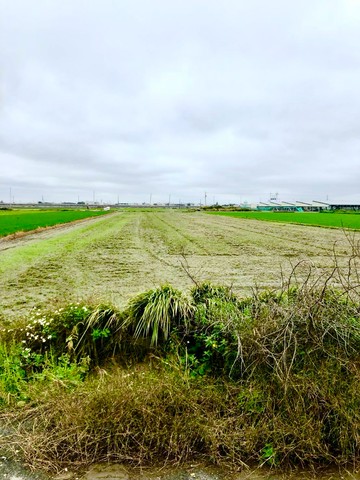 【雲林水林鄉】低總價方正美農地｜雲林縣水林鄉東興段