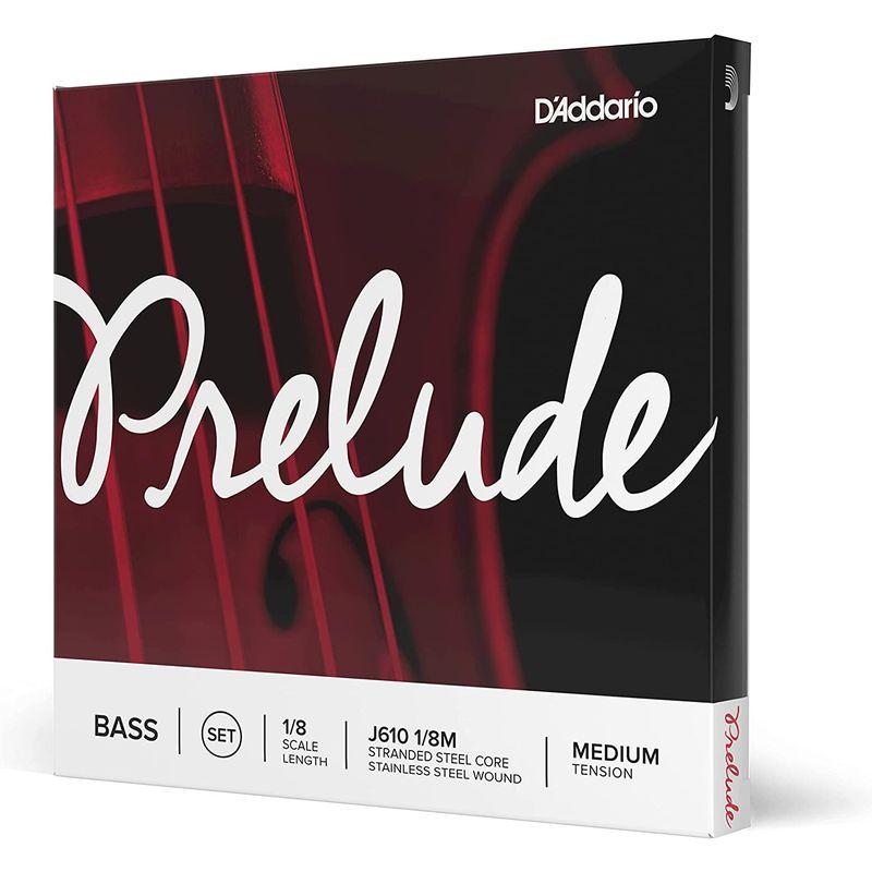 D Addario ダダリオ ウッドベース 弦 Prelude Set J610 8M Medium Tension 国内