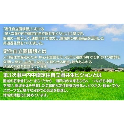 ふるさと納税 香川県 まんのう町 「瀬戸内中讃定住自立圏」うどんの名店食べ比べセット(5種) 