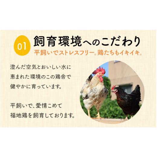 ふるさと納税 福井県 あわら市 濃厚で甘くておいしい！ 福井ブランド「福地鶏」の卵 20個（10個入×2パック）