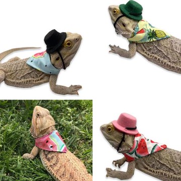 蜥蜴倉鼠衣服 帽子 口水巾 爬寵外出變身裝 遛蜥蜴 小型寵物衣服
