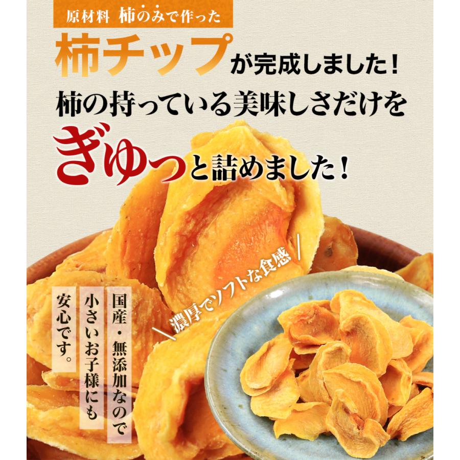 柿チップ 無添加 お試し 100g 和歌山 送料無料 ポイント消化