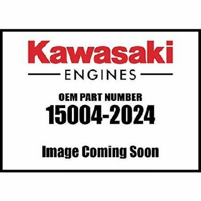 Kawasaki Engine Krb300a Carburetor Assembly 15004-2024 New OEM