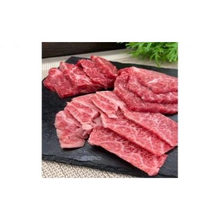 ふるさと納税 伊賀牛 焼肉セット（ロース、赤身、バラ）約1kg 三重県伊賀市