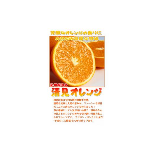 ふるさと納税 和歌山県 和歌山市 紀州有田産清見オレンジ　7.5kg