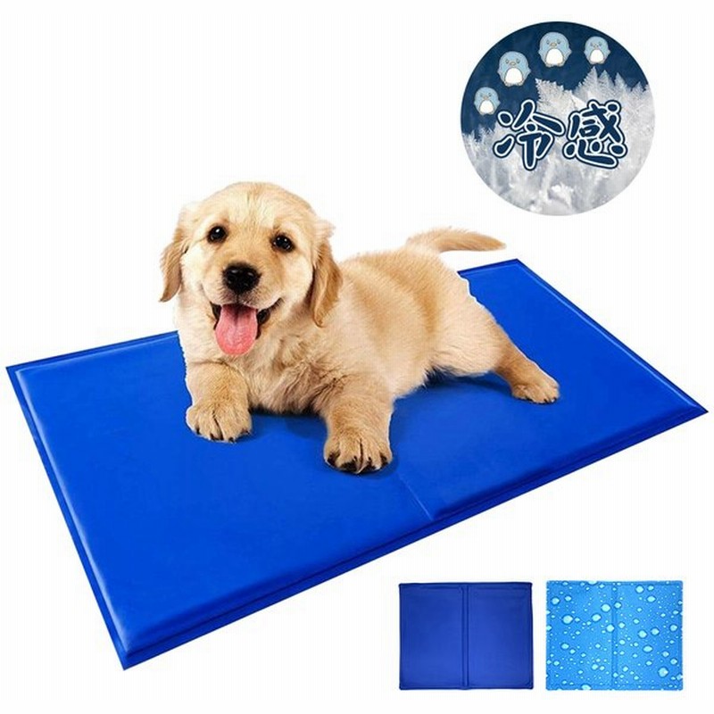 お中元 ペット用ひんやりマット 犬猫用冷えマット ペットクーラー クールジェルマット 涼感冷感マット ひえひえ爽快 熱中症 暑さ対策グッズ coloradointerpreter.com お中元 ペット用ひんやりマット 犬猫用冷えマット ペットクーラー クールジェルマット 涼感冷感マット ひえひえ爽快 熱中症 暑さ対策グッズ coloradointerpreter.com