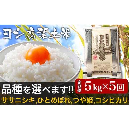 ふるさと納税 宮城県 石巻市 ＜定期便5回＞品種が選べる 令和5年産 ヨシ腐葉土米  コシヒカリ 合計25kg